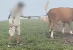 牛视频,揭秘短视频时代的魅力与挑战